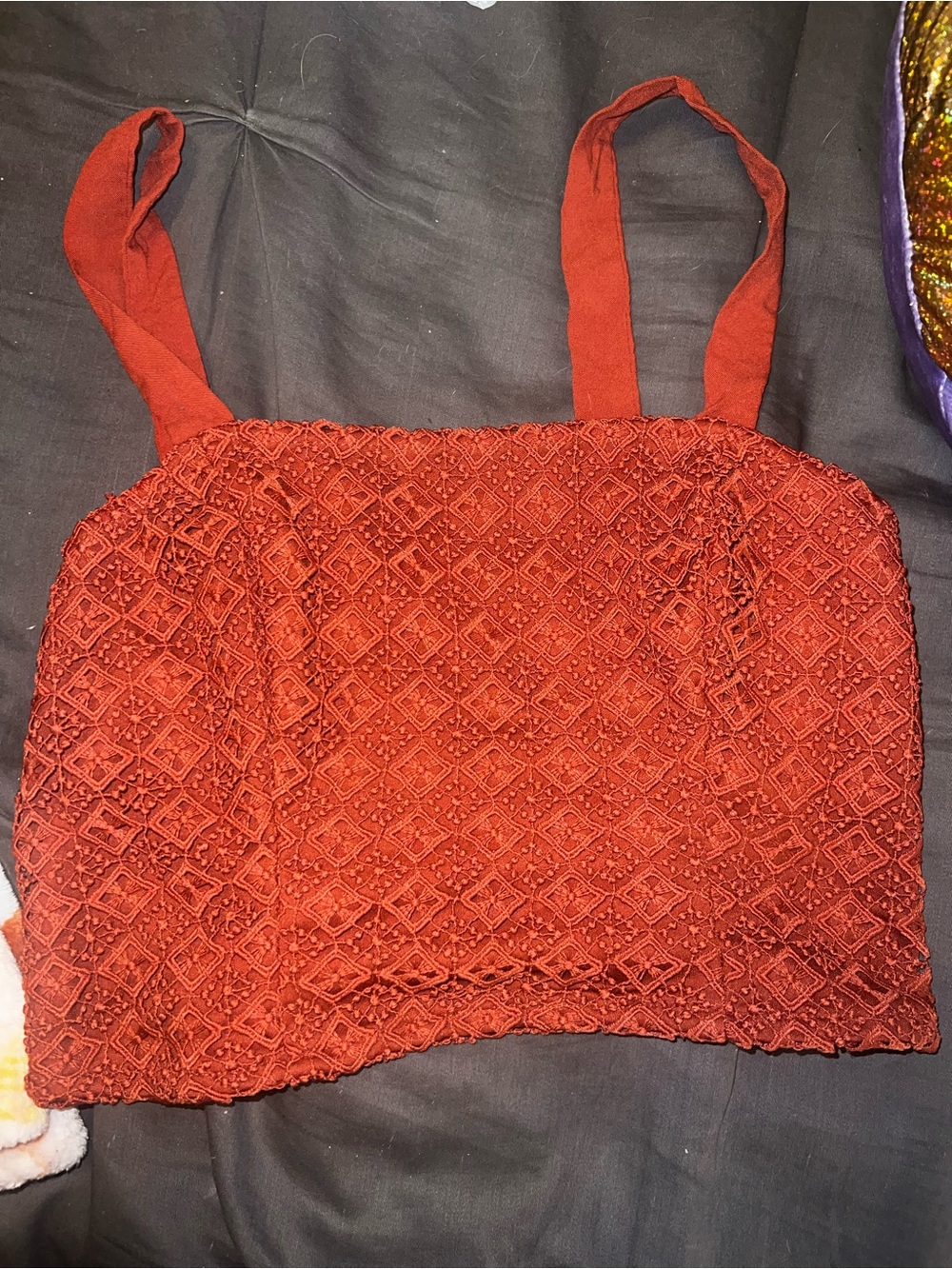 Crochet Lace Crop Tank Top in Rust Red - Women